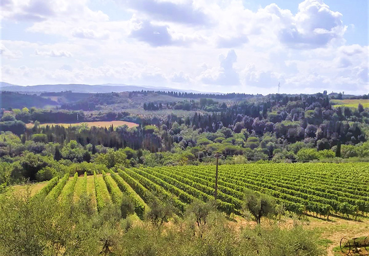 degustazione vini umbria montefalco, cantine da visitare in umbria