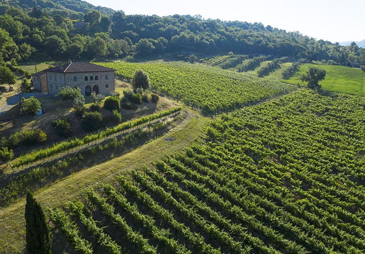 cantine  da visitare in umbria