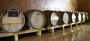 wine tasting sagrantino winery