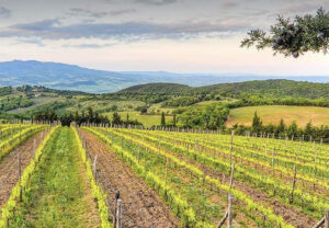 umbria wine tours