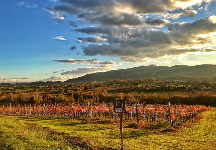 cantine montefalco