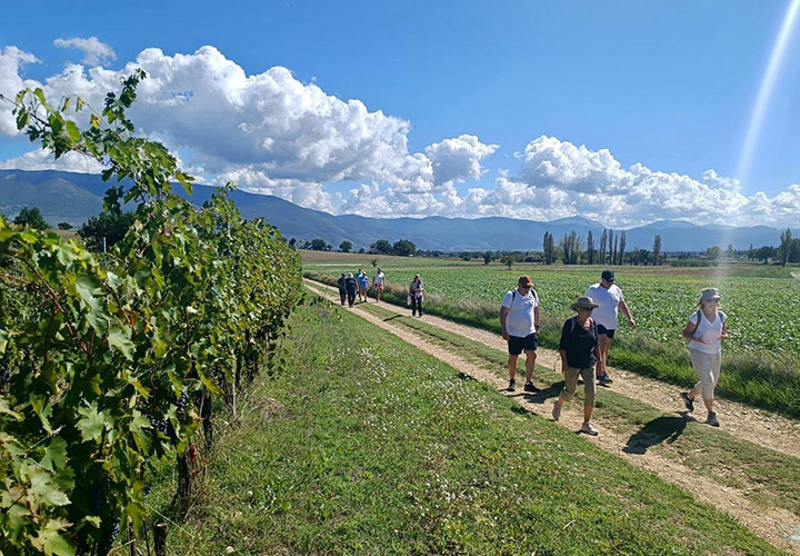 degustazione vini umbria montefalco