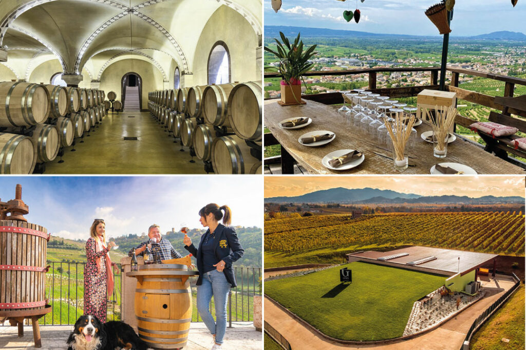 italy wineries