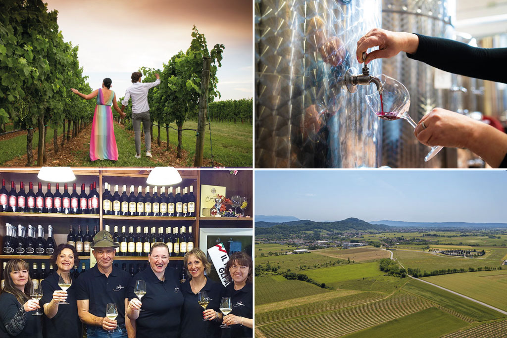 italy wineries