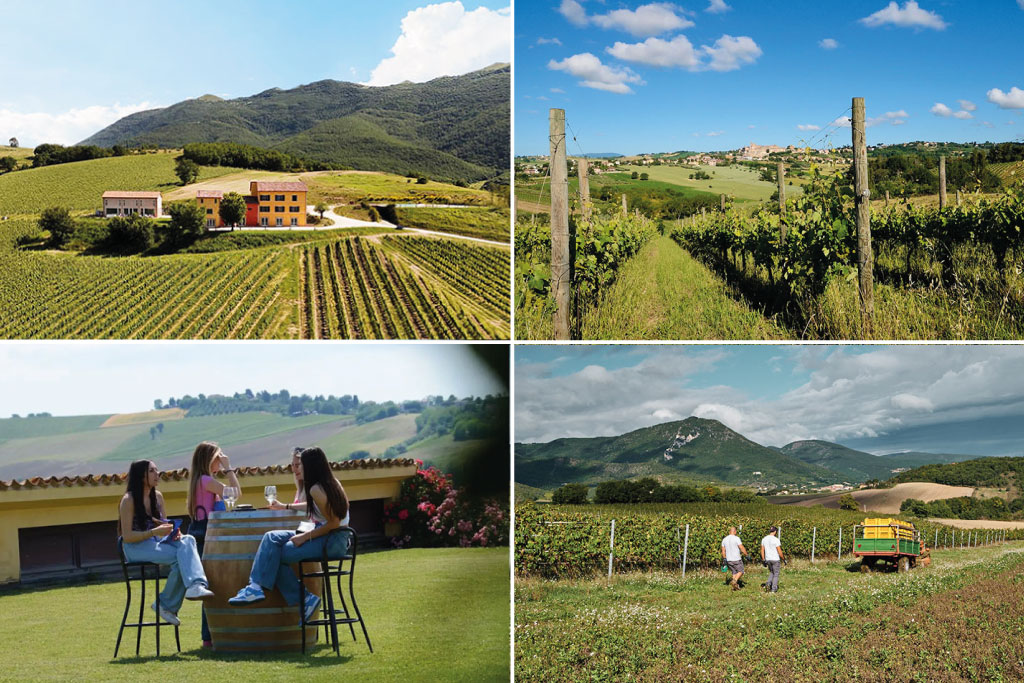 italy wineries