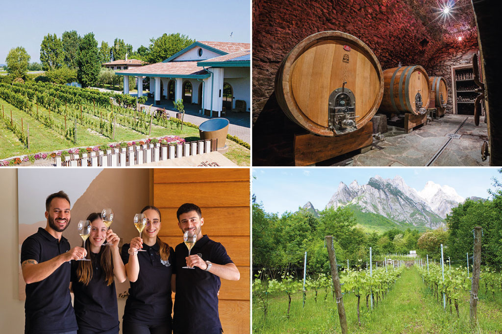 italy wineries