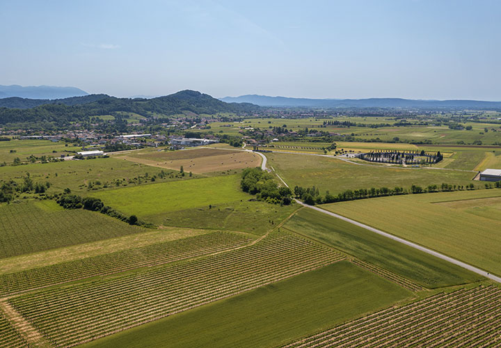 Degustazioni vini Udine