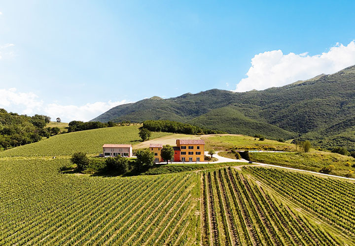 degustazioni vini matelica